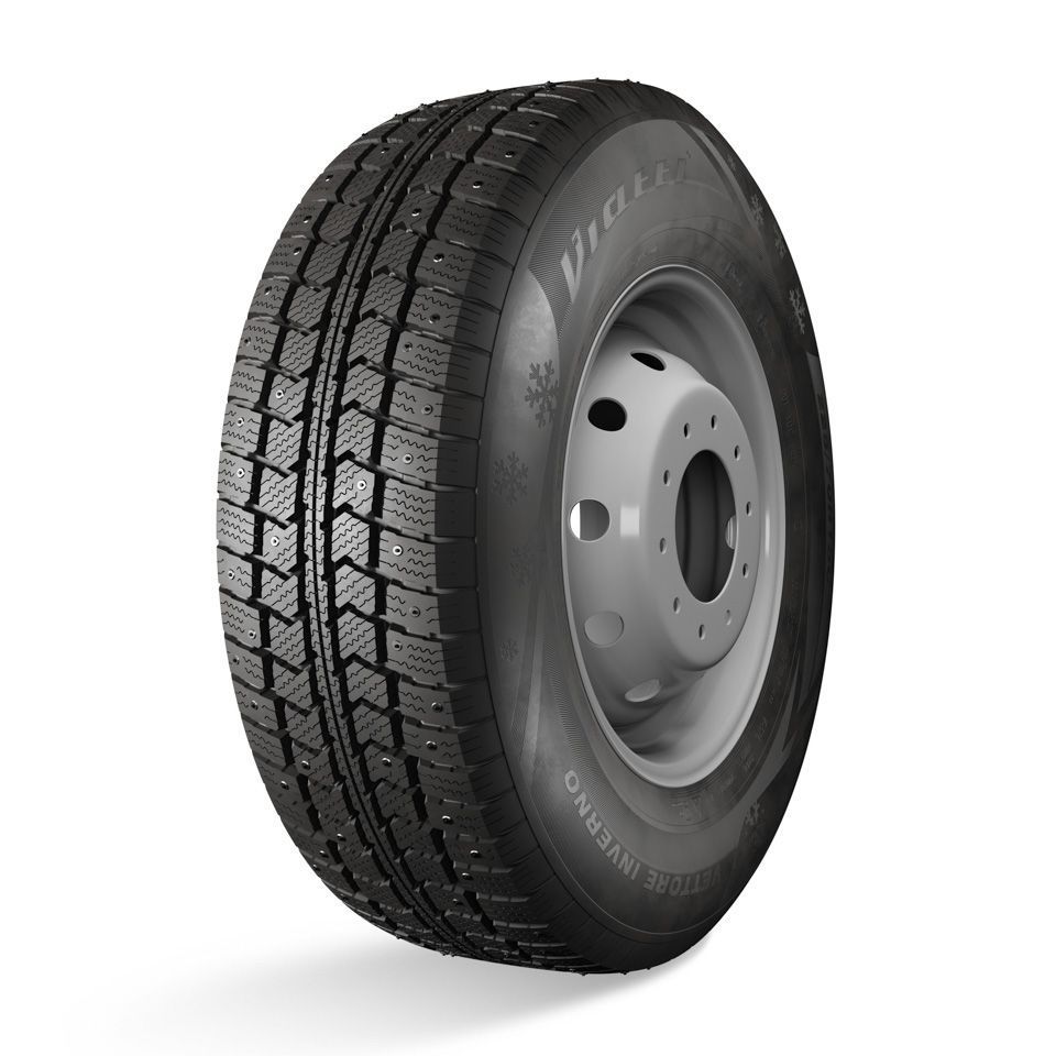 Vettore Inverno  V-524