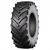 RAG100 (AGRO10)