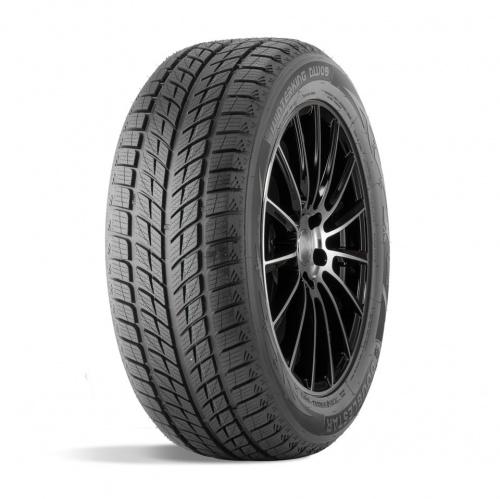 Шины ДаблСтар  255/50/20  H 109 DW09 на tireset.ru